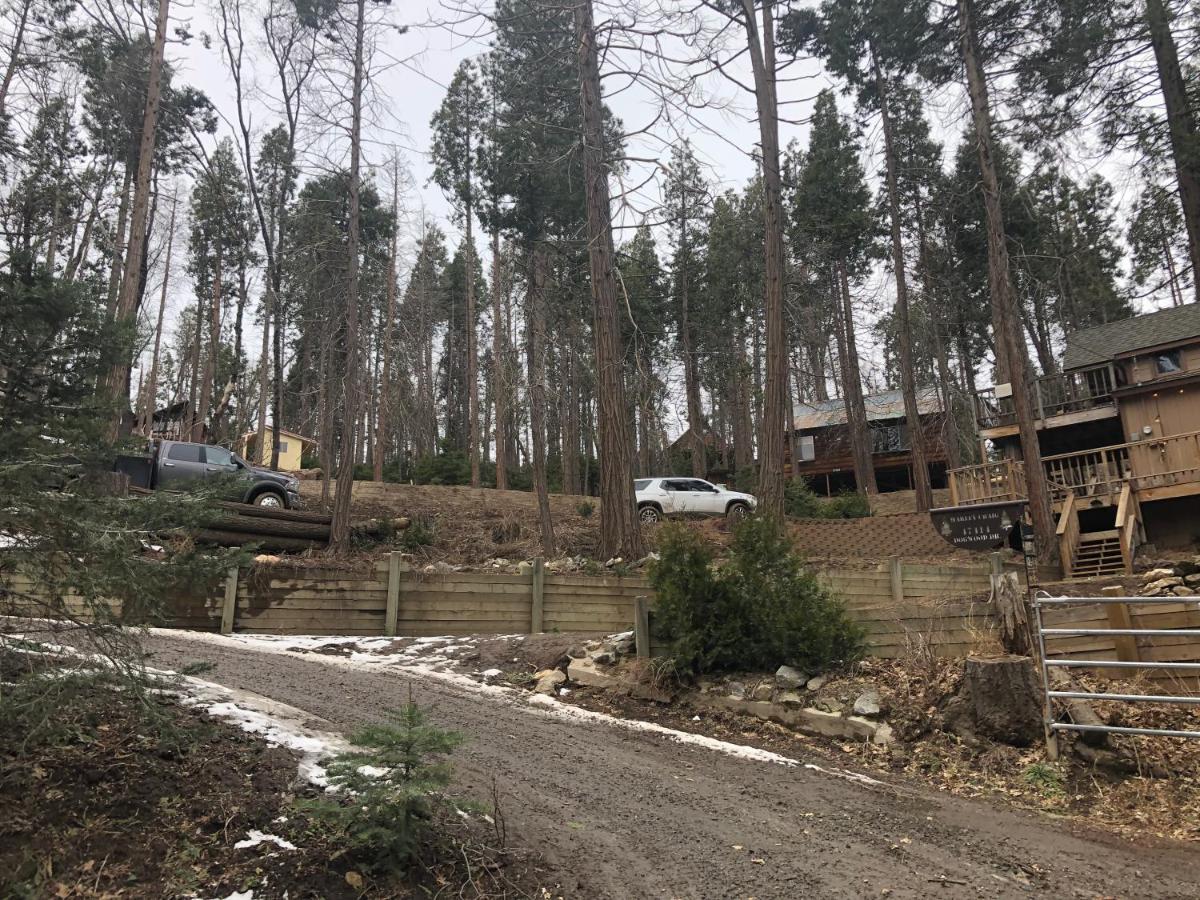 Sequoia National Forest Cabinh Panorama Heights Экстерьер фото